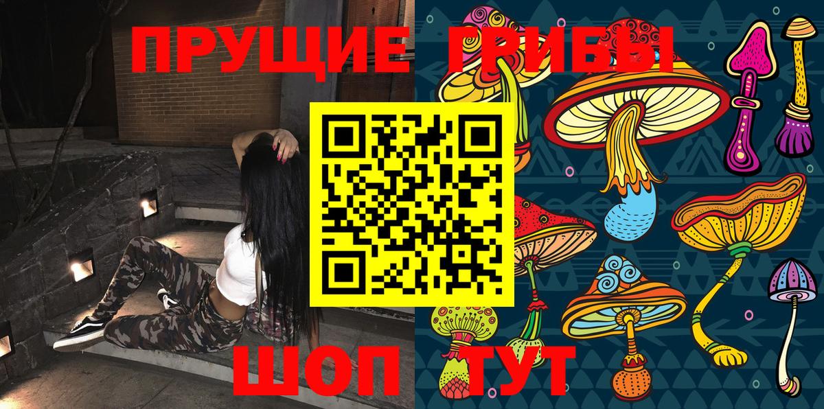 Псилоцибиновые грибы Cubensis Новоалександровск