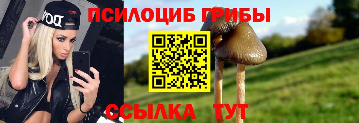 Новоалександровск  Псилоцибиновые грибы мицелий  Галлюциногенные грибы прущие грибы  наркотики  Вход с VPN 