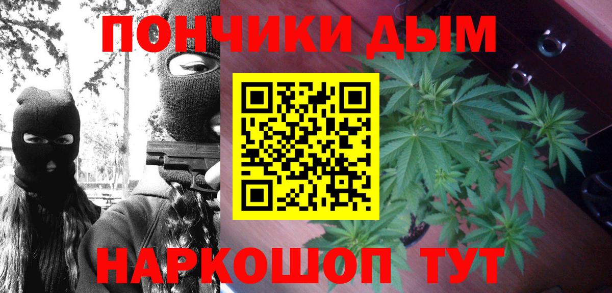 МАРИХУАНА семена Новоалександровск